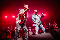 Dub Inc