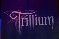 Amanda Somerville's Trillium