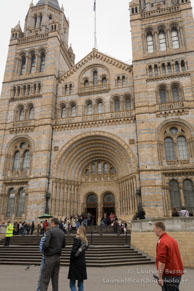 Natural History Museum / Londres - Avril 2009