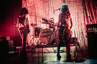 Dynamite Shakers