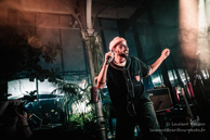 El Gato Negro / La Petite Halle - 10 octobre 2025