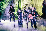 Faun