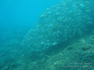 Siddhartha Dive Resort - Bali - Mai 2012
